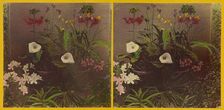 An array of flowers, about 1865-1875. Creator: Benjamin West Kilburn