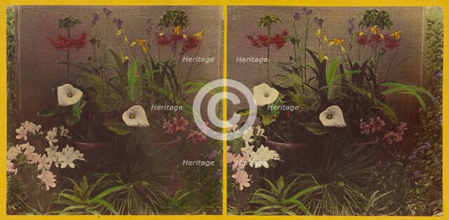 An array of flowers, about 1865-1875. Creator: Benjamin West Kilburn.