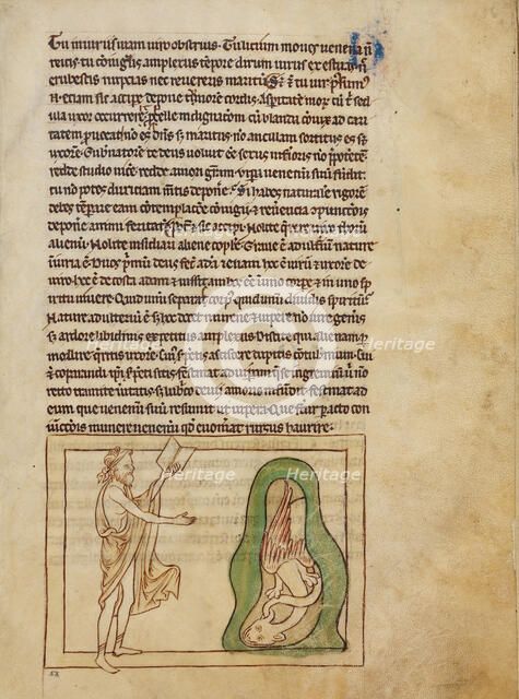 An Asp; Northumberland Bestiary, about 1250-1260. Creator: Unknown.