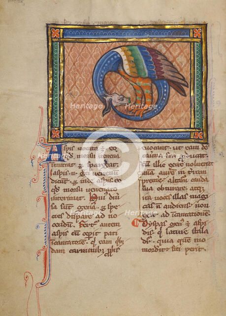 An Asp; Bestiary, about 1270. Creator: Unknown.
