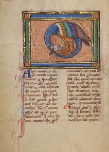 An Asp; Bestiary, about 1270. Creator: Unknown