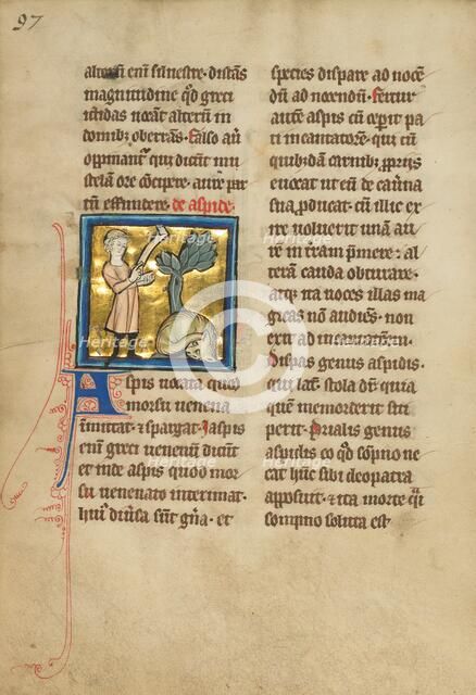 An Asp; De Natura Avium; De Pastoribus et Ovibus, 1277 or after. Creator: Unknown.