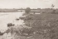 An Autumn Morning, 1886. Creator: Peter Henry Emerson