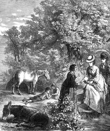 An Autumn Ramble, 1872. Creator: Wentworth