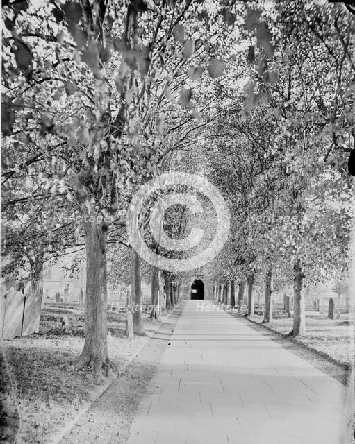 An avenue of lime trees leading to Holy Trinity Church, Stratford-upon-Avon, c1860-c1922. Artist: Henry Taunt