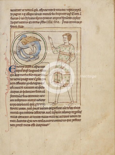 An Emorois; Northumberland Bestiary, about 1250-1260. Creator: Unknown.