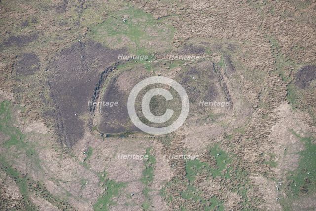 An enclosed settlement, or homestead, earthwork on Ray Fell, Northumberland, 2016. Creator: Dave MacLeod.