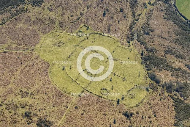 An enclosed stone hut circle  settlement on Buckland Common, Dartmoor, Devon,  2025. Creator: Damian Grady.