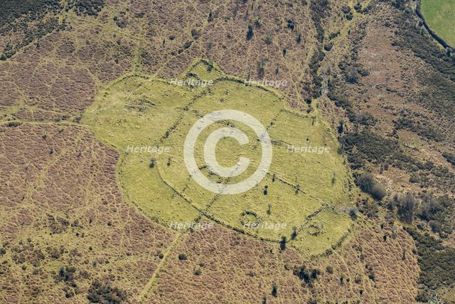 An enclosed stone hut circle  settlement on Buckland Common, Dartmoor, Devon,  2025. Creator: Damian Grady.