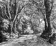 An English lane: from "Autumnal Leaves" (Sketches in the New Forest), 1881. Creator: James Davis Cooper