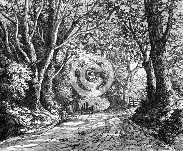 An English lane: from "Autumnal Leaves" (Sketches in the New Forest), 1881. Creator: James Davis Cooper.