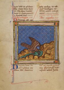 An Eagle; Bestiary, about 1270. Creator: Unknown