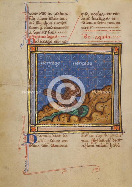 An Eagle; Bestiary, about 1270. Creator: Unknown.