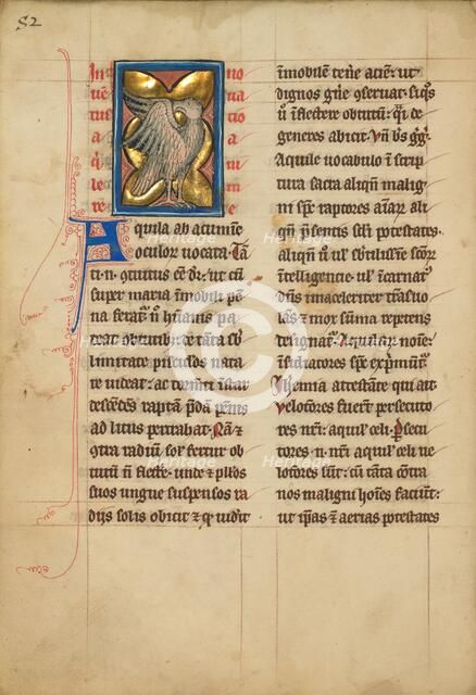 An Eagle; De Natura Avium; De Pastoribus et Ovibus, 1277 or after. Creator: Unknown.