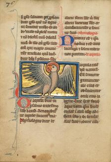 An Eagle; De Natura Avium; De Pastoribus et Ovibus, 1277 or after. Creator: Unknown