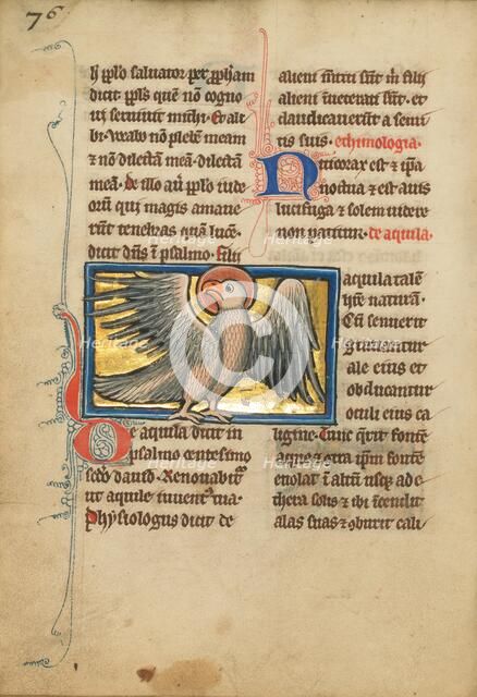 An Eagle; De Natura Avium; De Pastoribus et Ovibus, 1277 or after. Creator: Unknown.