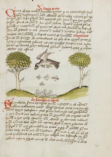An Eagle Flying over a Swarm of Insects; Fables, third quarter of 15th century. Creator: Unknown