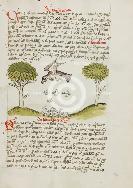 An Eagle Flying over a Swarm of Insects; Fables, third quarter of 15th century. Creator: Unknown.
