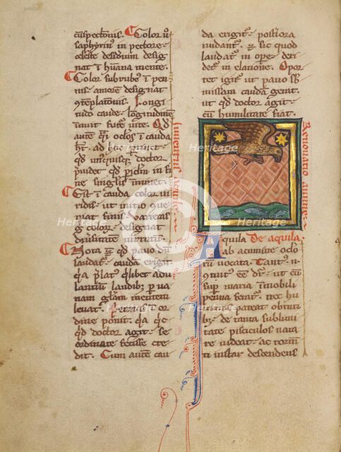 An Eagle Flying above Water; Bestiary, about 1270. Creator: Unknown.
