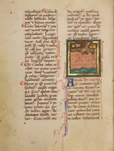 An Eagle Flying above Water; Bestiary, about 1270. Creator: Unknown