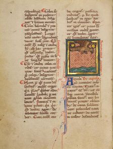 An Eagle Flying above Water; Bestiary, about 1270. Creator: Unknown