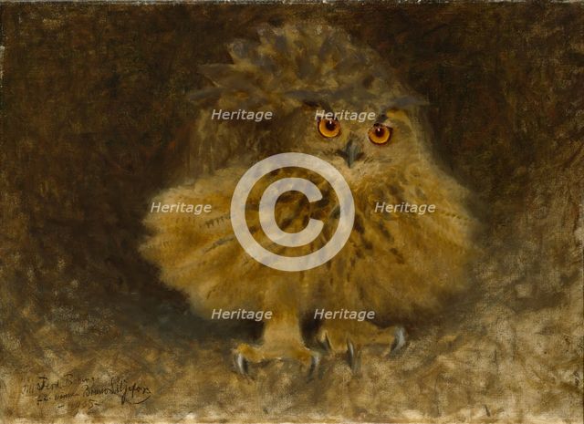 An Eagle Owl, 1905. Creator: Bruno Liljefors.