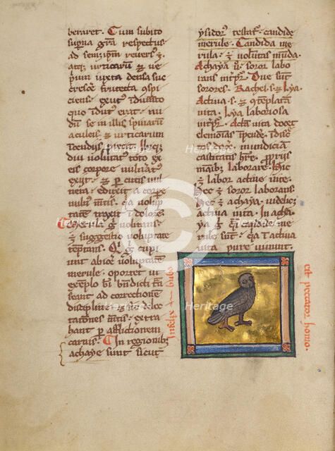 An Eagle Owl; Bestiary, about 1270. Creator: Unknown.