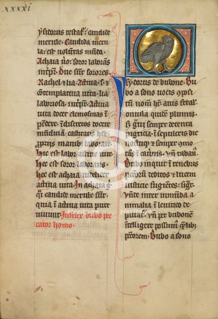 An Eagle Owl; De Natura Avium; De Pastoribus et Ovibus, On the Soul, 1277 or after. Creator: Unknown.