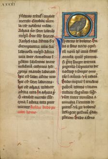 An Eagle Owl; De Natura Avium; De Pastoribus et Ovibus, On the Soul, 1277 or after. Creator: Unknown