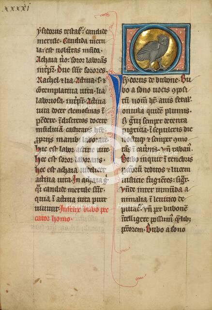 An Eagle Owl; De Natura Avium; De Pastoribus et Ovibus, On the Soul, 1277 or after. Creator: Unknown.