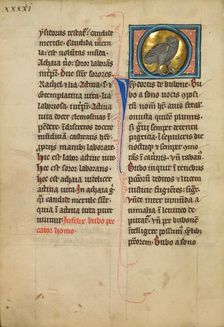 An Eagle Owl; De Natura Avium; De Pastoribus et Ovibus, On the Soul, 1277 or after. Creator: Unknown