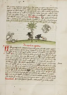 An Eagle Seizing a Snail: A Crow Pecking at a Snail; Fables, third quarter of 15th century. Creator: Unknown