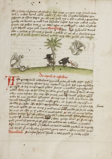 An Eagle Seizing a Snail: A Crow Pecking at a Snail; Fables, third quarter of 15th century. Creator: Unknown