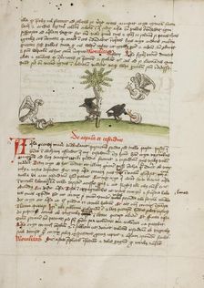 An Eagle Seizing a Snail: A Crow Pecking at a Snail; Fables, third quarter of 15th century. Creator: Unknown