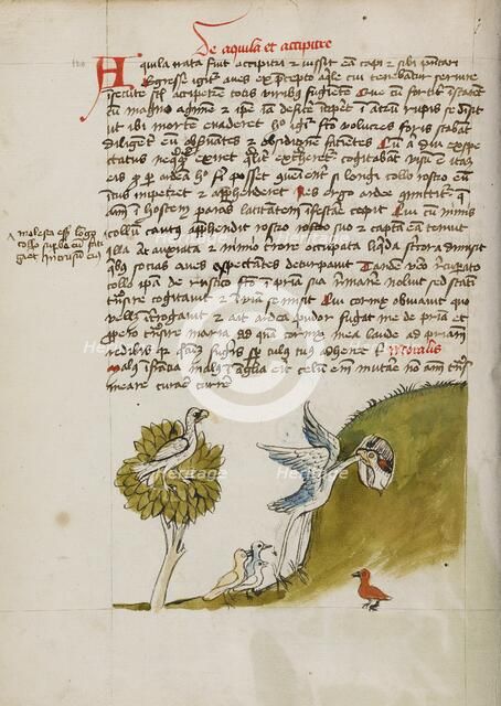 An Eagle Sitting in a Tree, a Stork with its Neck in a Hole..., third quarter of 15th century. Creator: Unknown.