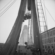 An early morning scene at the Fulton fish market, New York, 1943. Creator: Gordon Parks