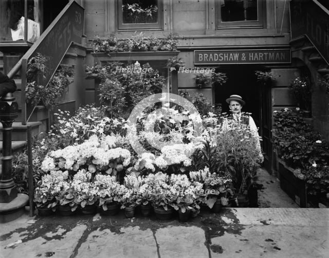 An Easter floral display, New York, between 1900 and 1905. Creator: Unknown.
