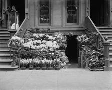 An Easter floral display, New York, between 1900 and 1910. Creator: Unknown