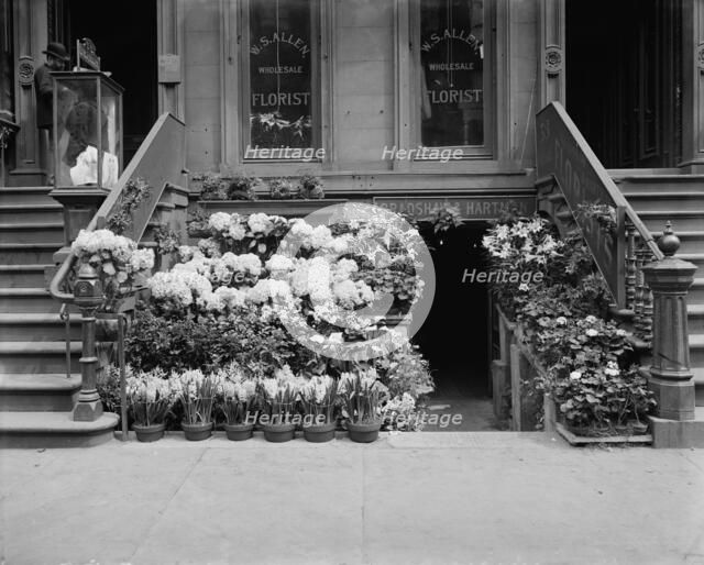 An Easter floral display, New York, between 1900 and 1910. Creator: Unknown.
