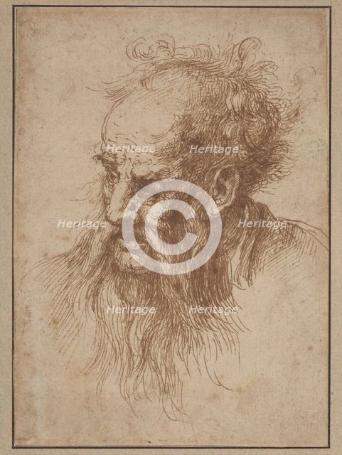 An Elderly Man with a Flowing Beard. Creator: Unknown.
