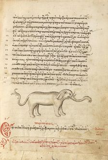 An Elephant, 1510-1520. Creator: Unknown