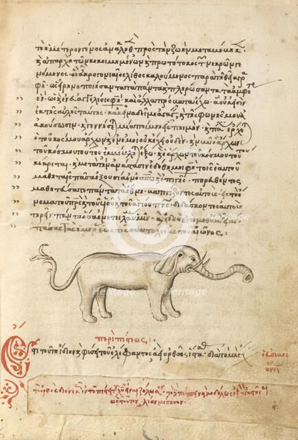 An Elephant, 1510-1520. Creator: Unknown.