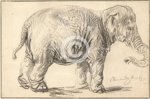 An Elephant, 1637. Artist: Rembrandt van Rhijn (1606-1669)