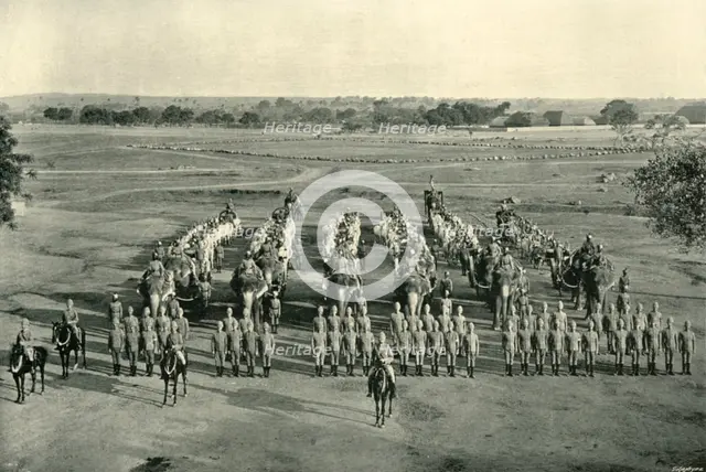 'An Elephant Battery, "Camp of Exercise", Rawal Pindi', c1890, (1901). Creator: Raja Deen Dayal & Sons.