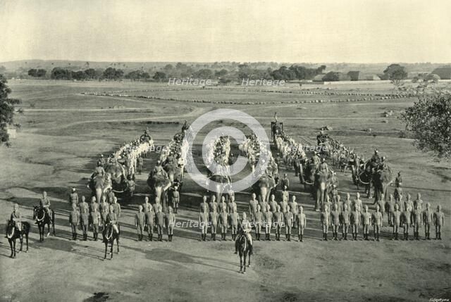 'An Elephant Battery, "Camp of Exercise", Rawal Pindi', c1890, (1901). Creator: Raja Deen Dayal & Sons.