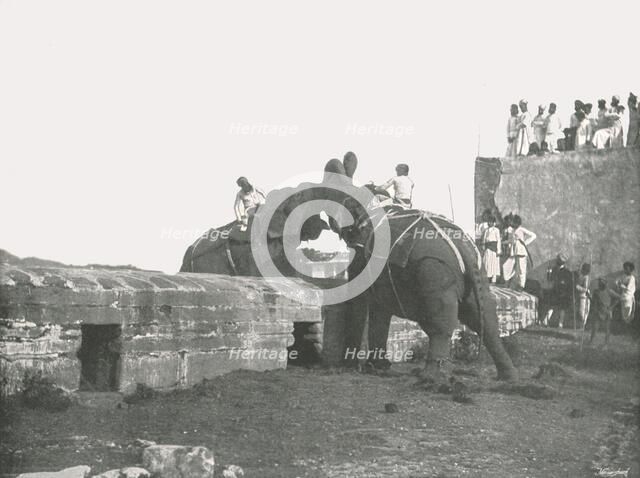 An elephant fight, Hyderabad, India, 1895.  Creator: Unknown.