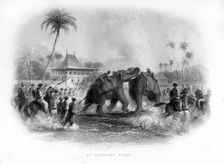 An elephant fight, India, 19th century