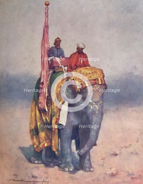 'An Elephant from the Sandy Wastes of Rajputana', 1903. Artist: Mortimer L Menpes.