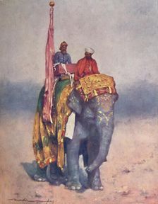 An Elephant from the Sandy Wastes of Rajputana 1903. Artist: Mortimer L Menpes