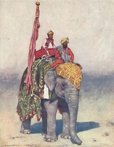 An Elephant from Jaipur 1903. Artist: Mortimer L Menpes